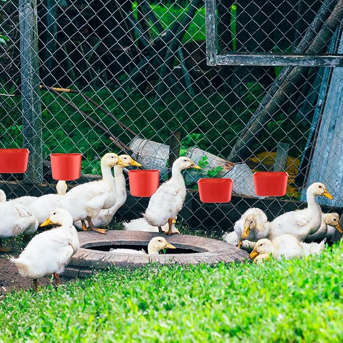 FillTouch 50 Pcs 4.9 x 3.7 x 2.4'' Cage Cups Chicken Feeders 3.2 x 3.2 x 2.4'' Cage Cups Birds Feeders Hanging Chicken Water Cups Seed Bowl Coop Cups for Parrot Poultry Pigeon Feeding Watering, Red