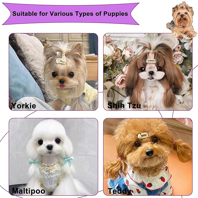 Gentle Grooming Puppy Brush with Gift Box ， Fit for Small Dog ， Yorkie, Shih Tzu, Maltipoo, Maltese and Pomeranian ，Toy Poodle Accessories, Soft Bristle (Dark Purple)