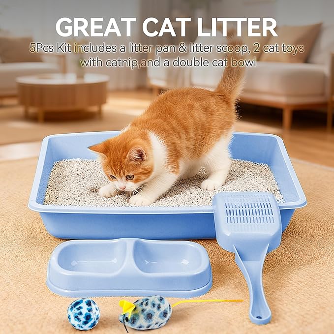 PAWISE Kitty Litter Box Set 5-Pieces - Shallow Cat Litter Pan, Cat Litter Scooper, Feeding Bowls, Kitten Starter Kit Mouse Toy, 14.5x10.5 Inches, Blue