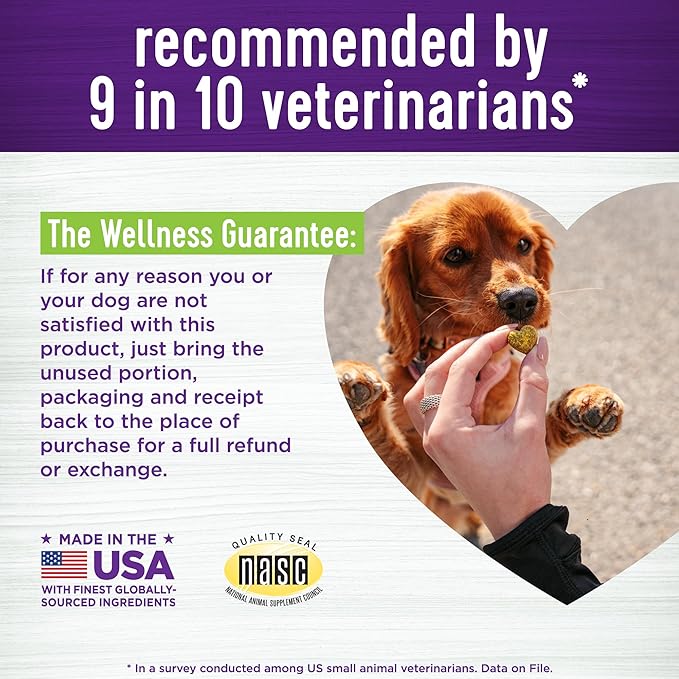 Wellness Pumpkin Patch Flavored Soft Chew Digestive Health Supplements for Dogs, 45 Count