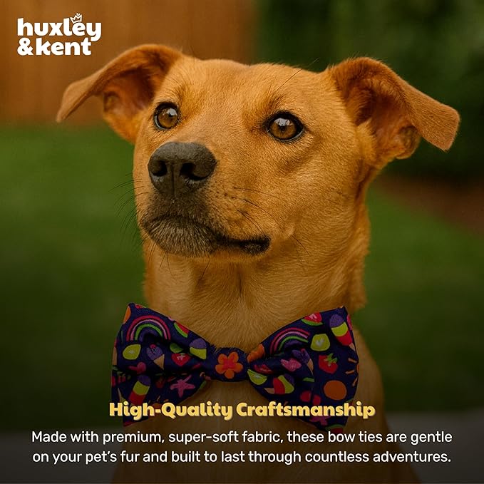 Huxley & Kent Pet Bow Tie for Dogs & Cats - Summer Theme Adjustable Hook & Loop Collar Accessory - Cute & Comfortable for Holidays & Celebrations - Summer Icons, Small