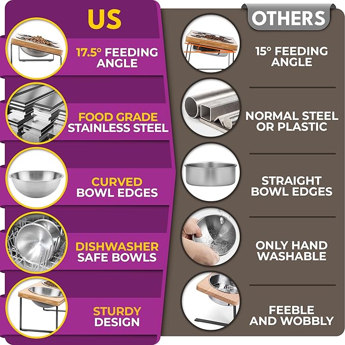 Raised cat Bowls for Indoor Cats by WinTruffles, Elevated cat Bowls with Cat Food Mat, Tilted and Elevated Anti Vomiting Cat Dishes for Food and Water, Set of 2 Stainless Steel Bowl with Silicone Mat