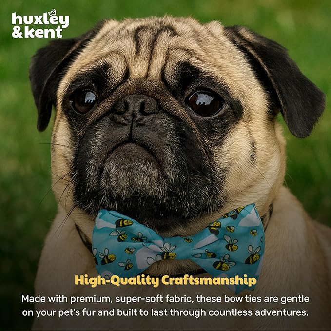 Huxley & Kent Pet Bow Tie for Dogs & Cats - Spring Theme Adjustable Hook & Loop Collar Accessory - Cute & Comfortable for Holidays & Celebrations - Busy Bees, Extra-Large
