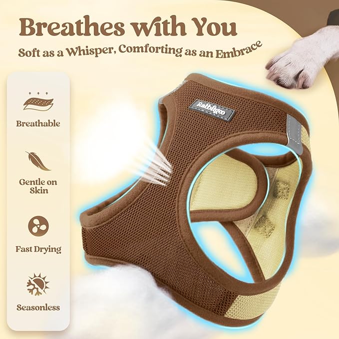 rabbitgoo Dog Harness Small Sized and Leash Set, Step in Soft Light Puppy Vest, Breathable Mesh Pet Harness, Reflective for Safe Easy Walking, Brown & Beige S