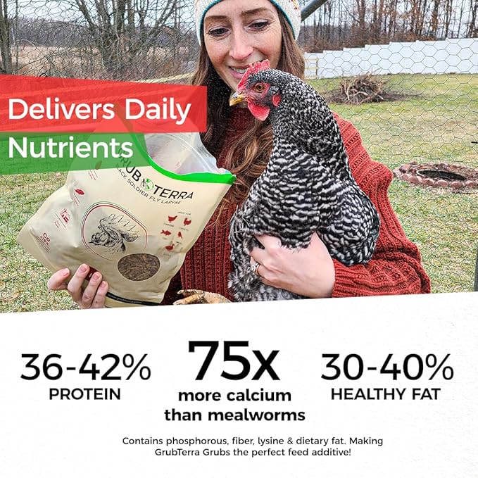 GrubTerra Black Soldier Fly Larvae for Chickens – Dried BSFL Poultry Treat, High Protein Calcium Feed Supplement for Laying Hens, Backyard Chickens, Sourced from Mexico, Not from China - 1LB