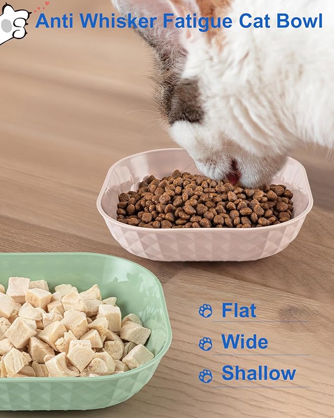 6-Pack Cat Food Bowls, Whisker Fatigue Cat Dishes for Food, Cute Kitten Bowl with Non-Slip Feet, 5.5" Flat Kitten Bowls for Wet Food, Small Plates for Indoor Cats