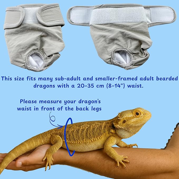 Bearded Dragon Diaper Accessories with Reusable Pad, Adjustable Wearable for Short Handling and Travel, Bearded Dragon Accessories, Reptile Travel Carrier Essentials (Grey)