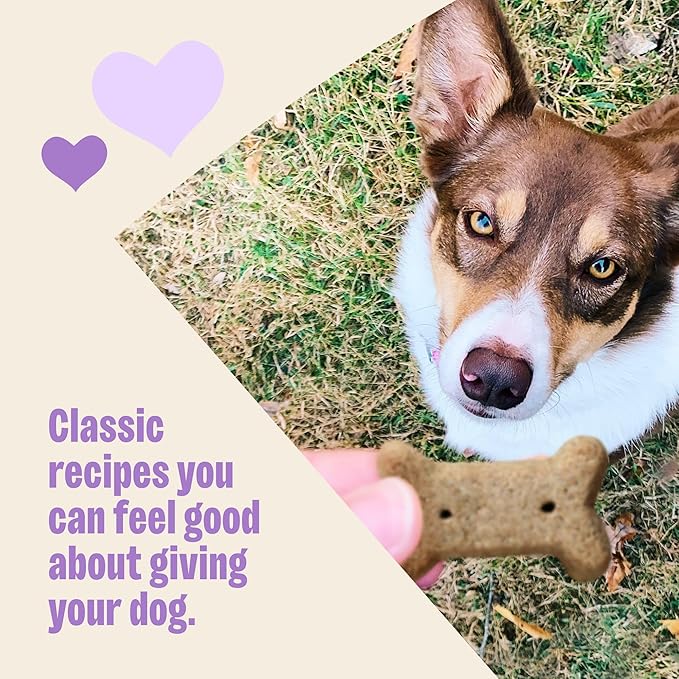 Wellness Old Mother Hubbard Classic Liv'R'Crunch Dog Biscuits, Natural Training Treats, Chicken Liver, Oats, Apple and Carrot Flavor, Mini Size, 20 oz Bag