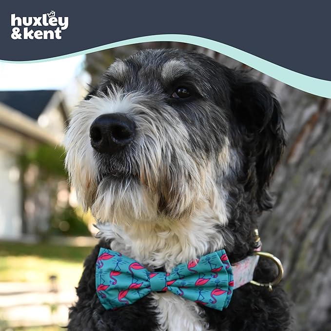 Huxley & Kent Pet Bow Tie for Dogs & Cats - Adjustable Hook & Loop Collar Accessory - Cute & Comfortable for Holidays & Celebrations - Flamingo, Small