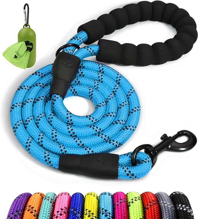 Taglory Rope Dog Leash 4 FT with Comfortable Padded Handle, Highly Reflective Threads Leash and Anti-Tangle Clip for Walking Small Dogs, 3/8 inch, Blue