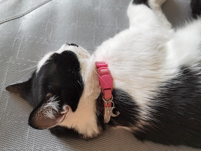 Pack of 2 Rhinestone Cat Collar Breakaway with Bell Safety Buckle, Adjustable Diamond Girl Boy Kitty Cute Comfy Collar for Kitten Tiny Little Pets Rabbits, 6"-9" Extra Small