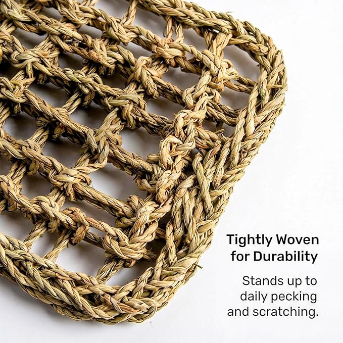 MAQIHAN Seagrass Mat for Birds - Bird Toys Seagrass Mats Foraging Activity Play Grass Mat Bird Climbing Wall Seagrass Net Hammock Toy for Medium Parakeets Lovebirds Finch Budgerigars Conure Cockatiel