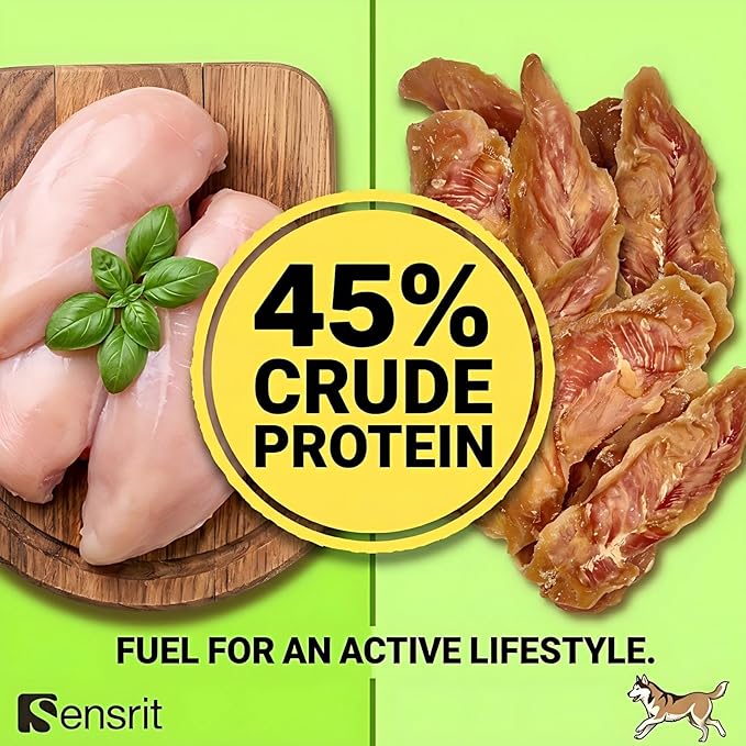 Whole Chicken Breast Dog Treats - 10 Oz (285g) Premium Jerky, High Protein (45%) Real Meat Snacks, Low Fat Training Rewards for Small Medium Large Dogs, Healthy Chews