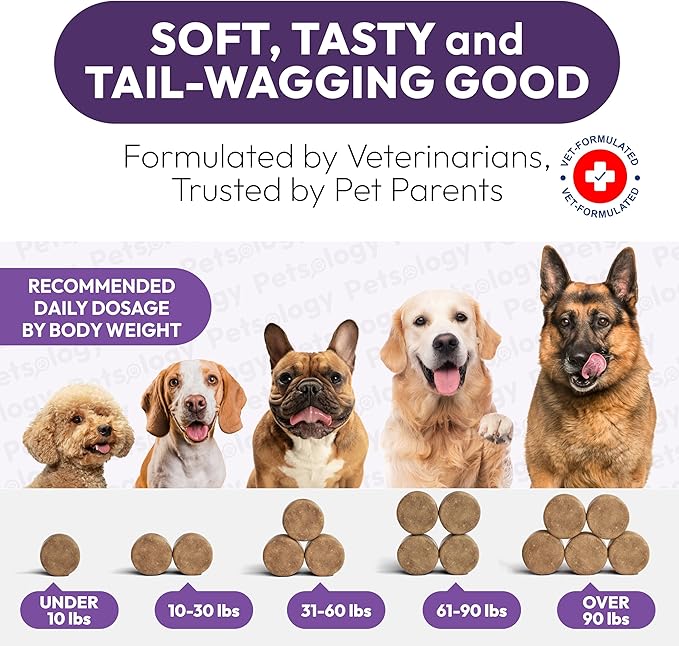 Dog Multivitamin Chewable - Dog Vitamins and Supplements with Glucosamine - 170 Chews - Hip & Joint, Pet Immune Support, Skin & Coat, Gut & Heart Health - Senior & Puppy Multivitamin Pet Supplement