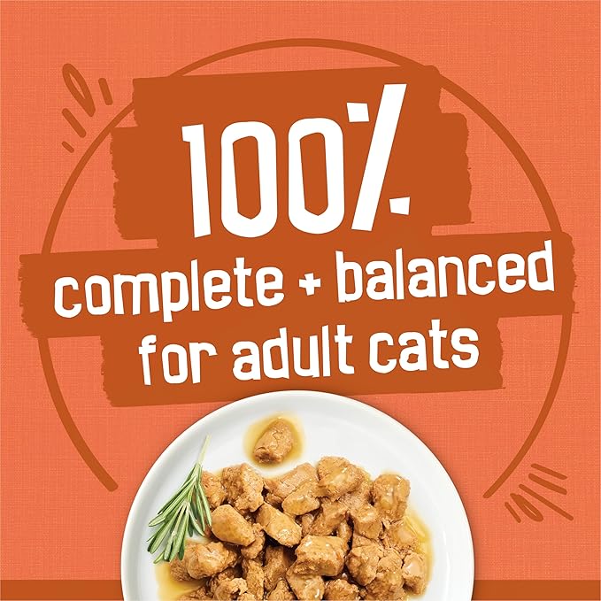 Purina Friskies Wet Cat Food Gravy Variety Pack, TurChicken Extra Gravy Chunky, Meaty Bits and Prime Filets - (Pack of 40) 5.5 oz. Cans