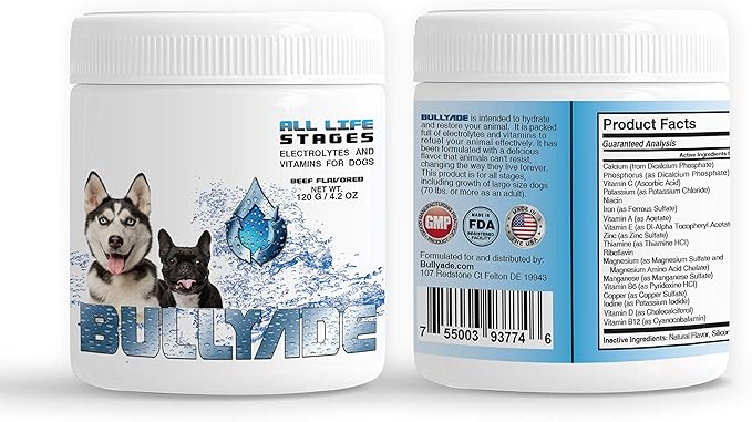 Natural Dog Supplement with 18 Vitamins, Minerals & Electrolytes. Mixes with Water or Food. (Beef)