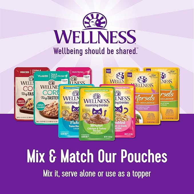 Wellness CORE Tiny Tasters Flaked Adult Wet Cat Food, Natural, Protein-Rich, Grain Free, 1.75-Ounce Pouch, 12 Pack, (Tuna & Shrimp)