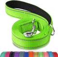 Joytale Dog Leash, 5 FT Double-Sided Reflective, Padded Handle Nylon Heavy Duty Leashes for Small Dogs Walking, Green