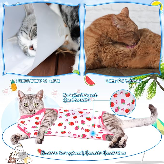 Kacctyen 6 Set Cat Recovery Suit After Surgery Female and Male Cat Kitten Surgery Suit E Collar Alternative Pajama Kitty Clothes for Spay Abdominal Skin Anti Licking(Fruit,Large)