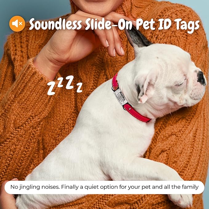 Personalized Slide-On Silent Pet ID Tag, Custom Engraved Elastic Band Name Plate and Phone for Collars and Harnesses, No Noise Charms for Dogs, Cats, Puppies, Kittens, or Horses