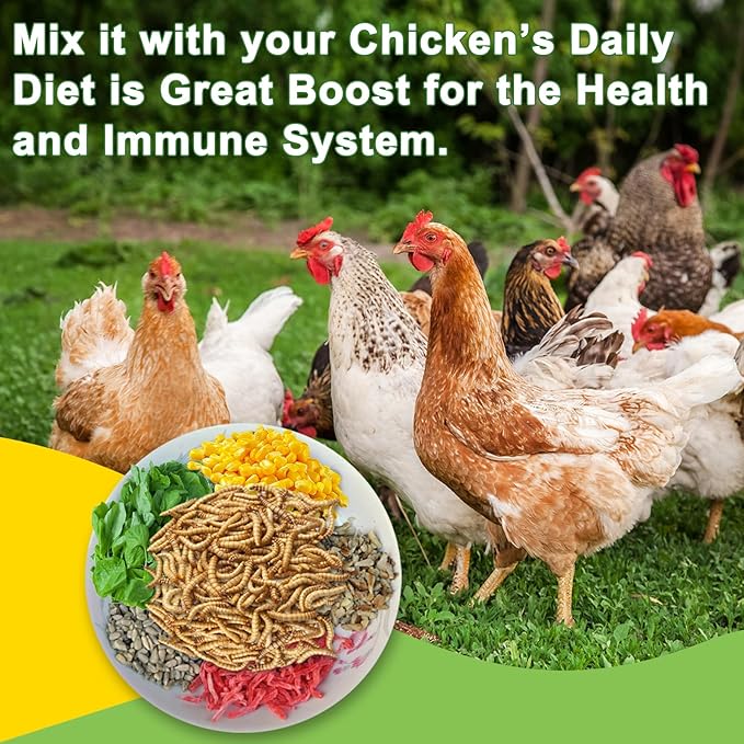 MTART 10LB Dried Black Soldier Fly Larvae Treat for Chicken, 100% Natural Non-GMO More Calcium Than Dried Mealworms High Protein Chicken Feed for Birds, Ducks, Layer Hens