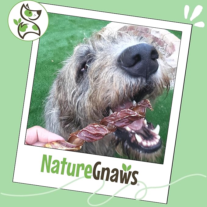 Nature Gnaws Beef Gullet Springs for Dogs 7-8" (12 Count) - Natural Beef Jerky Stick Dog Chew Treats - Rawhide Free