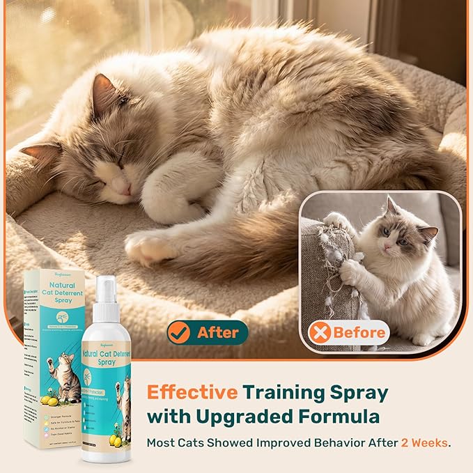 Natural Cat Deterrent Spray Indoor, Cat Repellent Spray for furniture, Safely Cat pee stopper, Anti Furniture Scratching, Stops Urine Marking, Kitten Training Spray for Sofa, Rugs, Chairs, 150ml