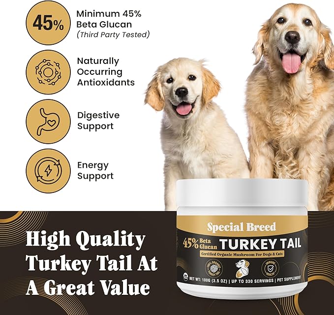 Organic Turkey Tail Mushroom for Dogs and Cats, 45% Beta Glucan Standardized, Hot Water Extracted Whole Fruiting Body, Third Party Tested, Immune and Gut Support, No Fillers, Made in USA, 330 ct