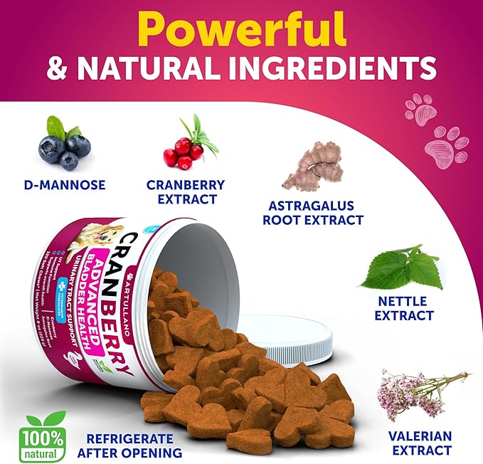 Dog UT Treats - Cranberry Chews for Dogs - Urinary Tract & Bladder Support Supplement with Natural Cranberry Extract - Tasty 120 Soft Bites for Daily Wellness with Fish Oil, Pumpkin, D-Mannose