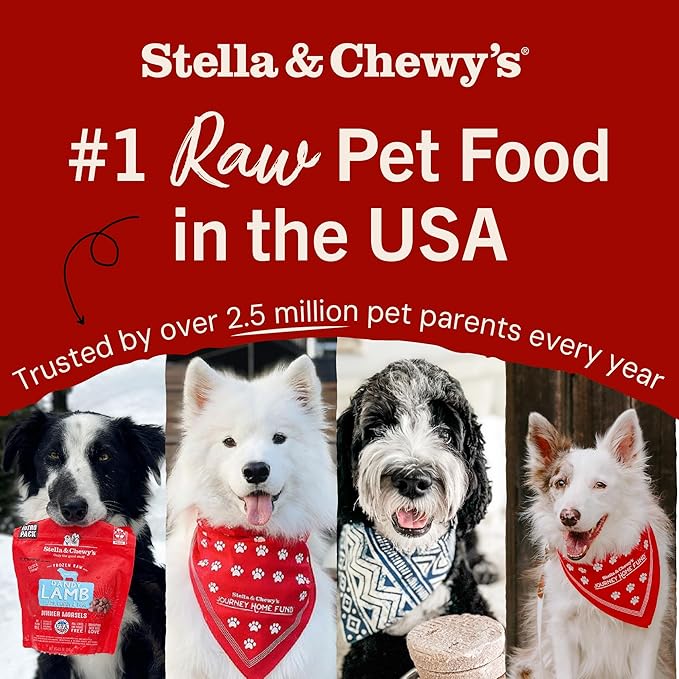 Stella & Chewy's Freeze-Dried Raw Chicken Heart Dog Treats - Single Ingredient, No Additives - Premium Training Treats - Perfect For Picky Eaters - 3oz Bag