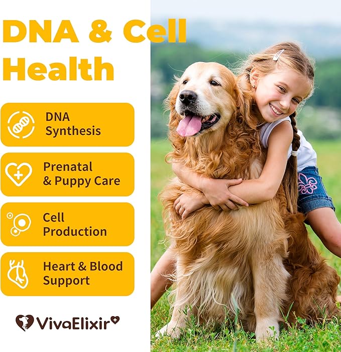 Heart Support Supplement for Dogs Aids B12& Folate Circulatory Strength, Antioxidant Cardiovascular Support, Heart Muscle Function Support DNA Synthesis & Seeking Health Prenatal 4.2oz Powder