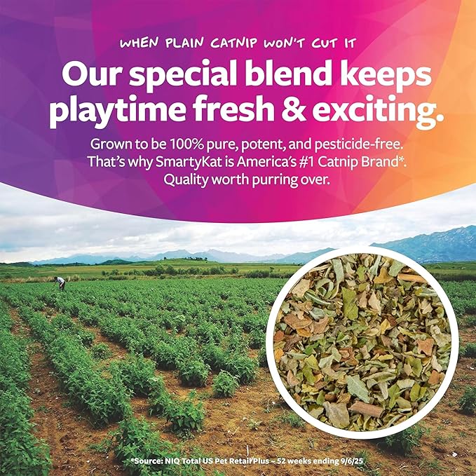 SmartyKat Natural Catnip Canister, 100% Natural Cat nip for Cats, Premium Dried Catnip for Indoor Cats, Positive Training Aid for Play and Exercise, Resealable Shaker Bottle, 2 Ounces