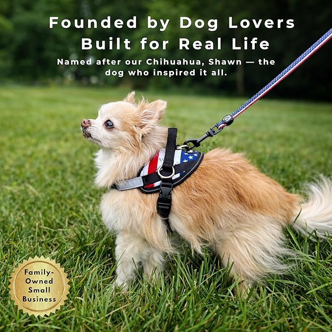 ShawnCo Essential Dog Harness, No-Pull Pet Vest with 3 Leash Clips, No Choke, Reflective, Adjustable and Padded, for Easy Walking and Training for Small, Medium and Large Dogs (White Sharks, L)