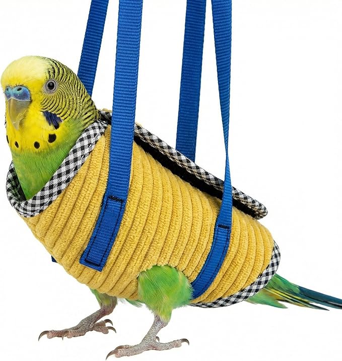 Portable Bird Carrier Bag with Harness, Escape Resistant Parrot Carrier & Bird Travel Bag for Parakeet, Cockatiel, Conure, Pigeon, Small Medium Birds, Random Color (Small)