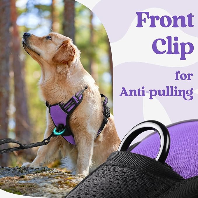 rabbitgoo Dog Harness Medium Sized, No Pull Pet Harness with 3 Buckles, Adjustable Soft Padded Vest with Control Handle, Walking Reflective Pet Vest for Medium Dogs, Purple, M
