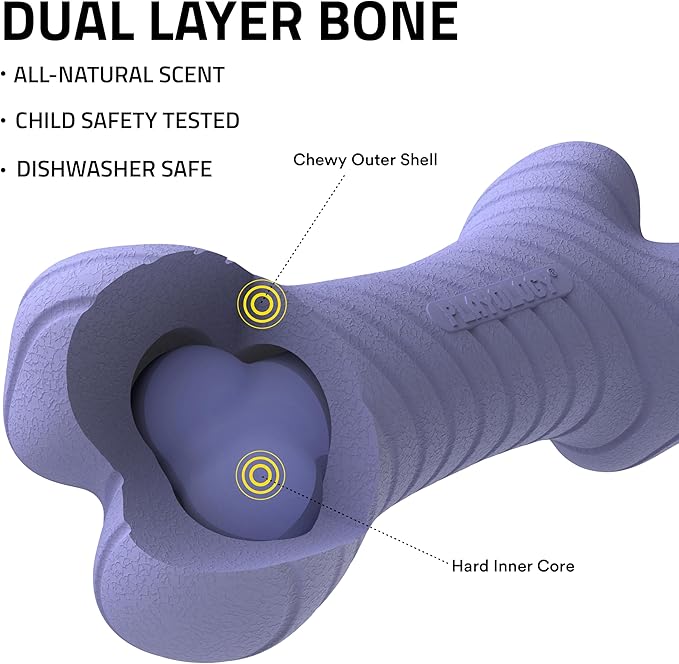 Playology Dog Toys | Dual Layer Bone Durable Chew Toy Bone for Dogs (Value 2-Pack) | Small Blueberry Scented Toy - Easy to Clean and Made from Non Toxic Materials