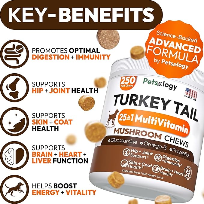 Turkey Tail Mushroom for Dogs - 250 Chews - Lion’s Mane - Shiitake - Reishi - Buddy Immune Support Guard - Lipoma Mushroom Supplement for Dogs Lumps and Bumps Glucosamine, Health Vitamins Multivitamin