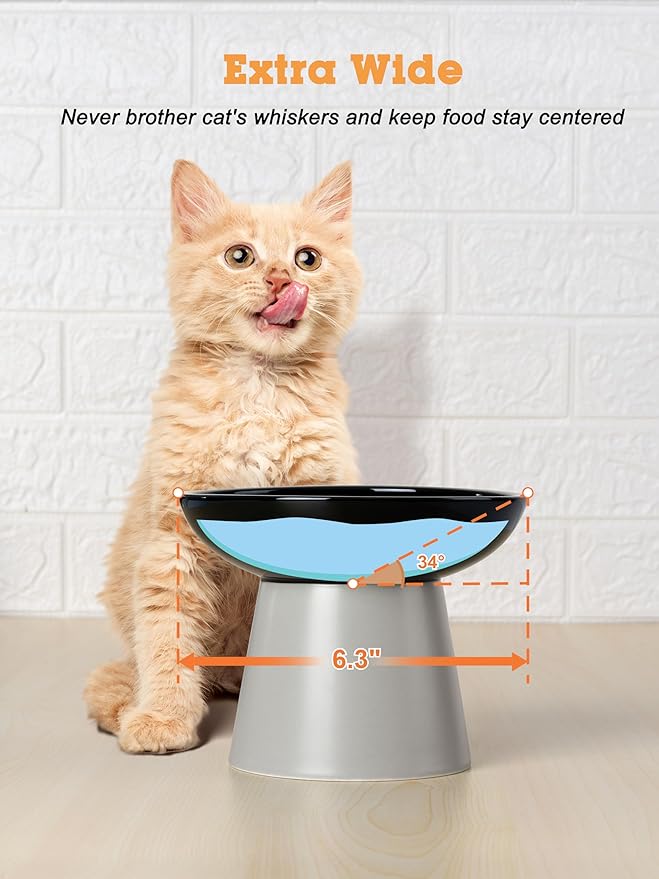 LoeJan Elevated Cat Food and Water Bowls Set, Extra Wide and Raised Ceramic Feeder, Anti-Vomit Whisker-Free Pressure Feeding Bowl for Kittens Adult Small Dogs (Black, Food Bowl)