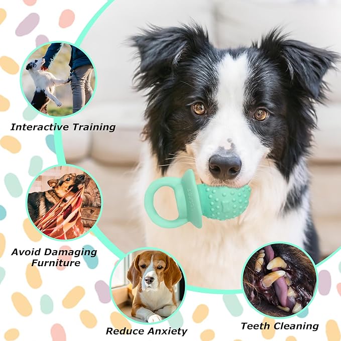 Pacifier Squeaky Dog Toys, Durable Natural Rubber Latex Dog Toy, Fetch and Tug Dog Toy, Dog Treat Toys for Boredom (Green)