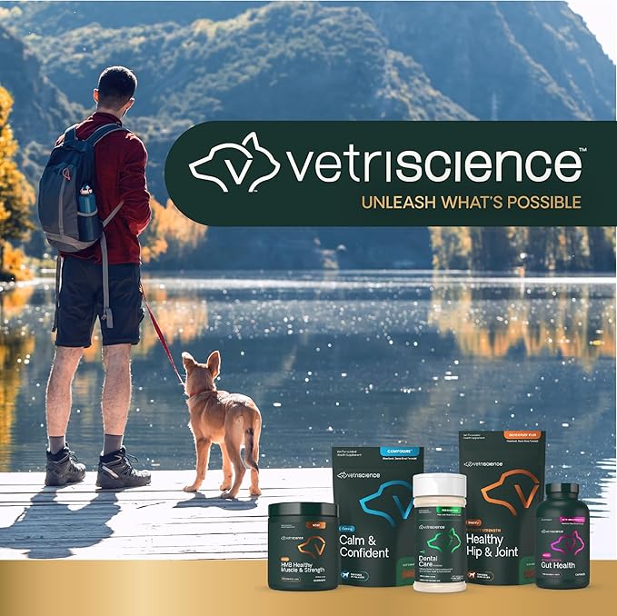 VetriScience Dental Care Powder, Clinically Tested Dental Supplement for All Dogs & Cats, Freshen Breath, Control Plaque & Tartar, Oral Health with Probiotics, Perio Support, 4.2 oz