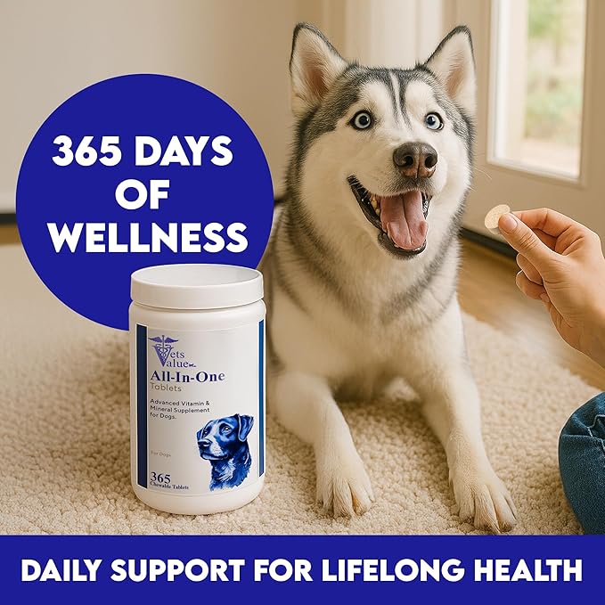 365-Day Multivitamin for Dogs, All-in-One Daily Supplement – Supports Joint Health, Immune Function, and Skin & Coat – Full Year Supply – Essential Vitamins & Minerals for Daily Wellness, All Breeds