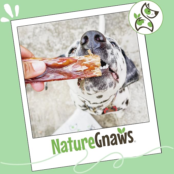 Nature Gnaws Beef Gullet Chews for Large Dogs 9-10" (20 Count) - Natural Beef Jerky Stick Dog Chew Treats - Rawhide Free