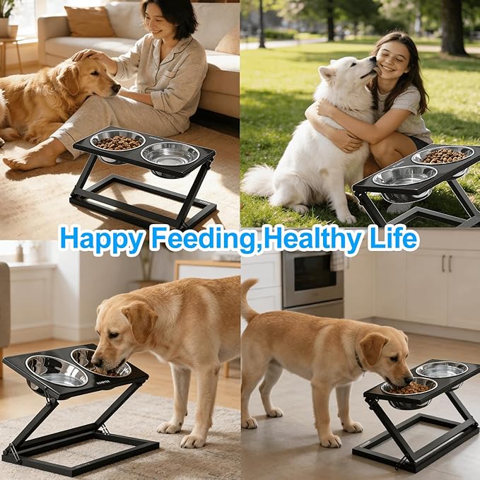 Elevated Dog Bowls, Adjustable Raised Dog Bowl Stand with 2 Stainless Steel Food Bowls 20°Tilted Water Bowls for Medium Small Sized Dogs (Black, Medium)