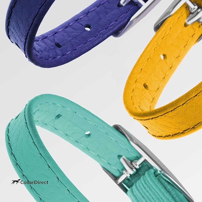 CollarDirect Leather Cat Collar with Removable Bell – Safety Elastic Strap (Breakaway Alternative) – Kitten Collar for Small & Big Boy & Girl Cats
