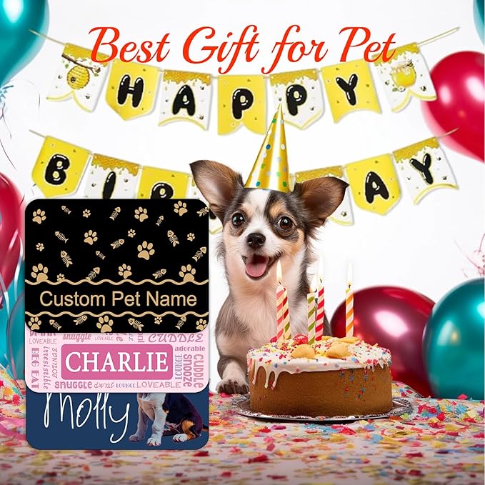 Personalized Dog Food Mats for Floors Custom Pet Placemat Mats for Food and Water Waterproof Customized Pet Food Mat with Name Gifts for Dog & Cat Owners Design 7