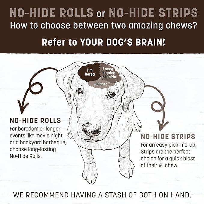 Earth Animal No Hide Chews - Long Lasting Rawhide Free Medium Dog Chews Rolls, Beef - 3 Count Value Pack