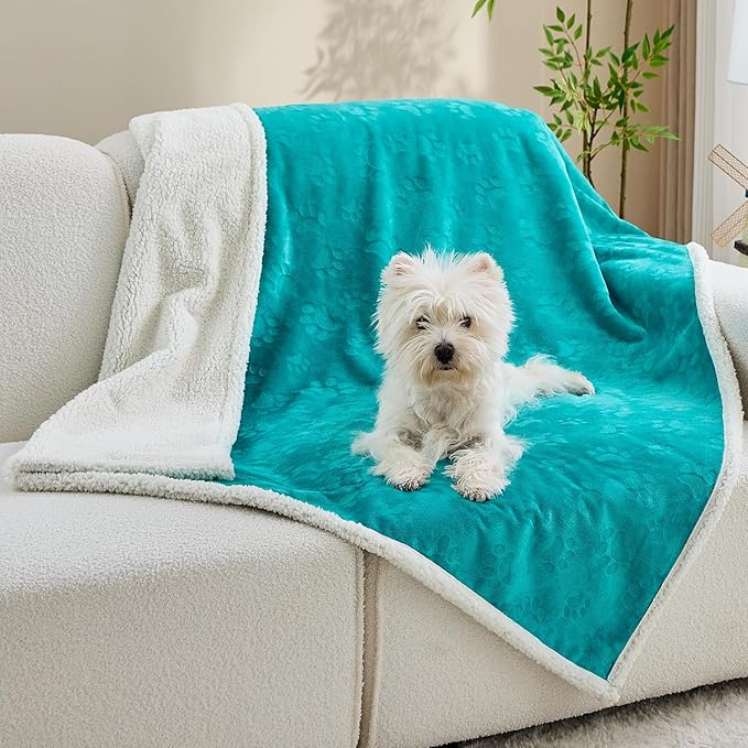 Qeils Pet Blankets for Cats - Waterproof Cat Blanket Washable - Sherpa Fleece Puppy Blanket, Soft Plush Reversible Throw Protector for Bed Couch Car Sofa, 25"X30", Teal
