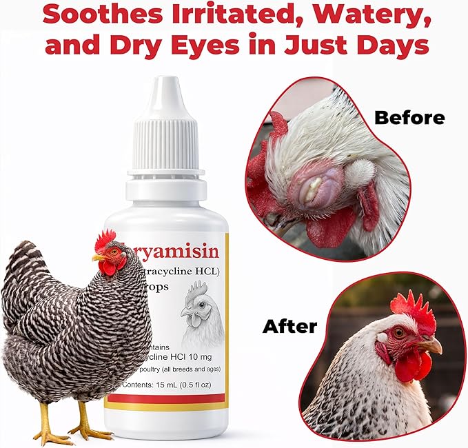 Chickens Eye Care Drops for Chickens, Ducks & Birds – Improve The Eye Health – Improve Egg Quality – Supports Clear Vision & Healthy Eyes – 15 mL (0.5 fl oz)