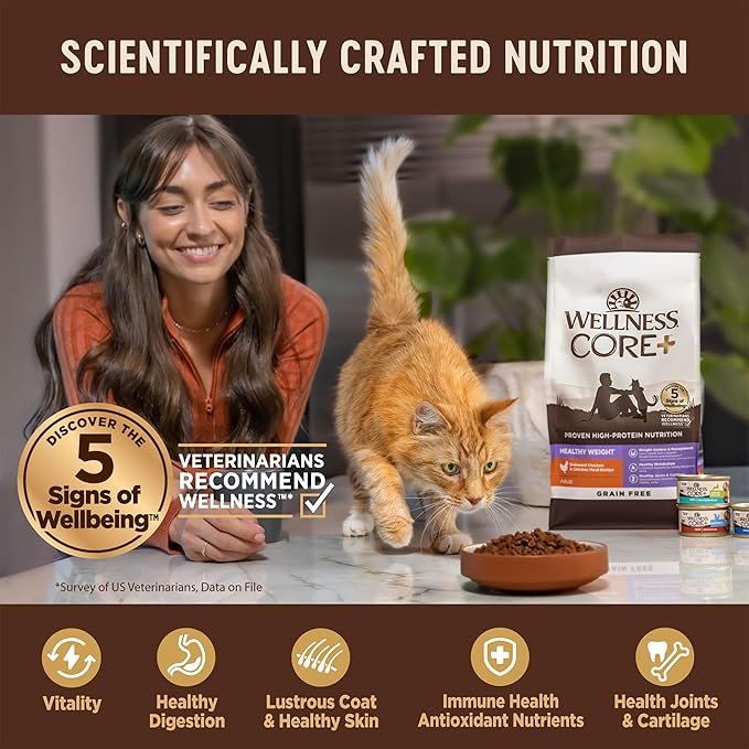Wellness CORE+ Adult Dry Cat Food for Indoor Cats, Grain-Free, Natural, Salmon and Herring Meal (5 Pound Bag)