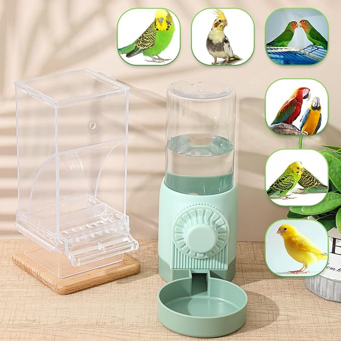 Jingmore 4 Pcs No Mess Small Bird Feeder Parakeet Water Dispenser Set Automatic Clear Parakeet Feeder Acrylic Watered Cage Accessories for Canary Budgie Lovebirds Finches(Green)